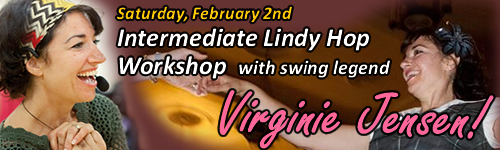 virginie banner